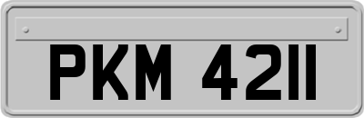 PKM4211