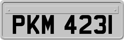 PKM4231