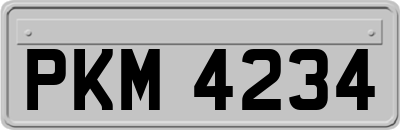 PKM4234