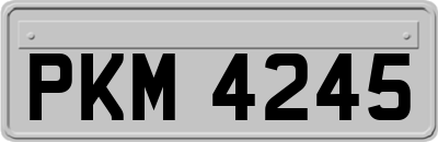 PKM4245