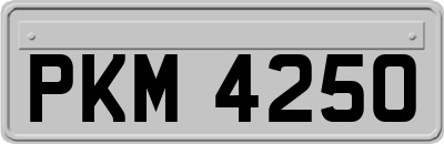 PKM4250