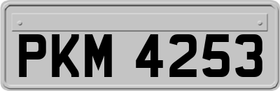 PKM4253