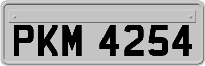 PKM4254