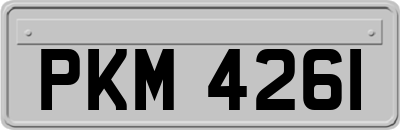 PKM4261