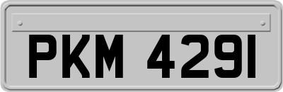 PKM4291