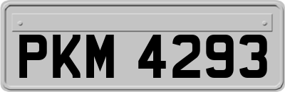 PKM4293