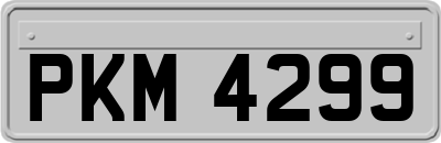 PKM4299