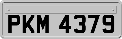 PKM4379