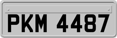 PKM4487