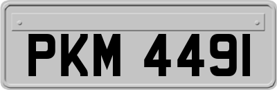 PKM4491