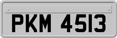 PKM4513