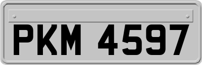 PKM4597