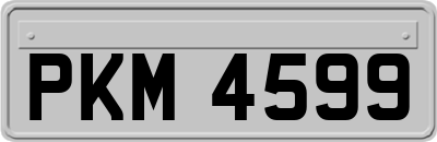 PKM4599
