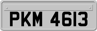 PKM4613