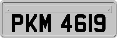 PKM4619