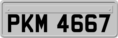 PKM4667