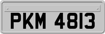 PKM4813