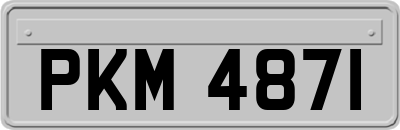 PKM4871