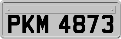 PKM4873