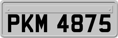 PKM4875