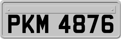 PKM4876