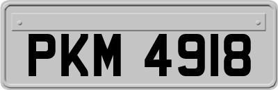 PKM4918