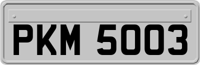 PKM5003