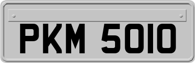 PKM5010