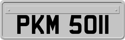 PKM5011