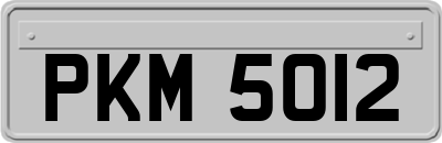 PKM5012