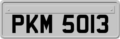PKM5013