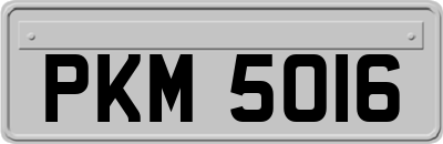 PKM5016