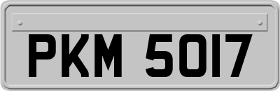 PKM5017