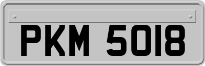 PKM5018