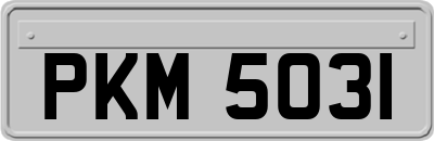 PKM5031
