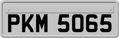 PKM5065