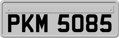 PKM5085