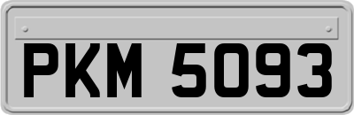 PKM5093