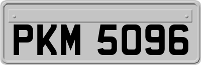 PKM5096