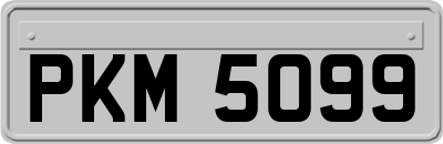 PKM5099