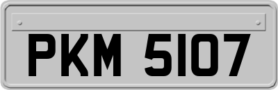 PKM5107