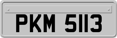 PKM5113