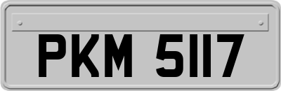 PKM5117