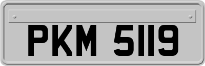 PKM5119
