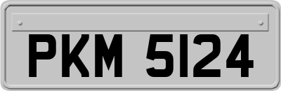 PKM5124
