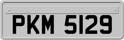 PKM5129