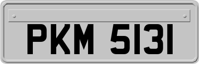 PKM5131