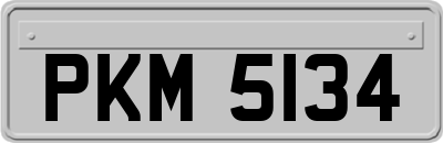 PKM5134