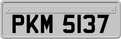 PKM5137