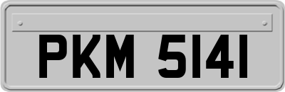 PKM5141
